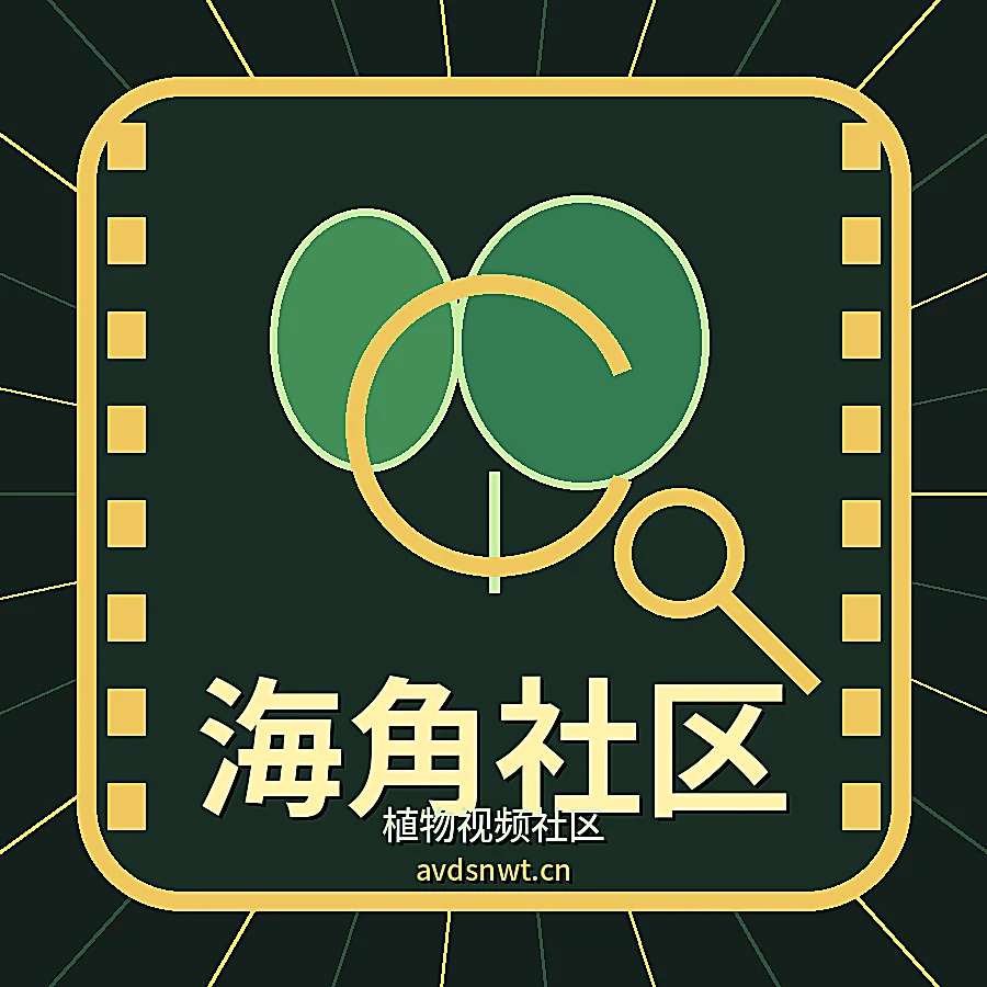 海角社区